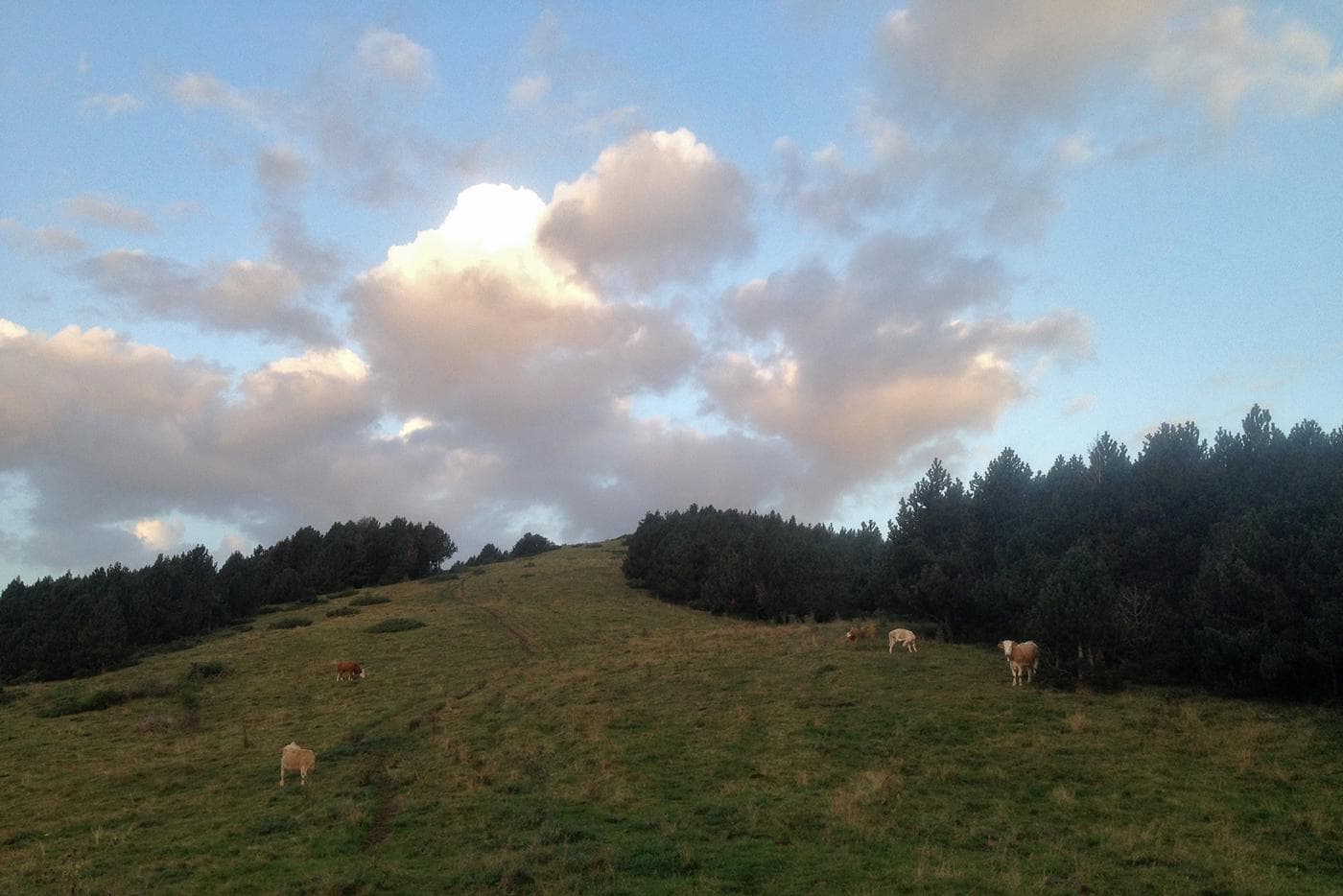 Étape 3 — La Preste - Puigcerdà — photo 1