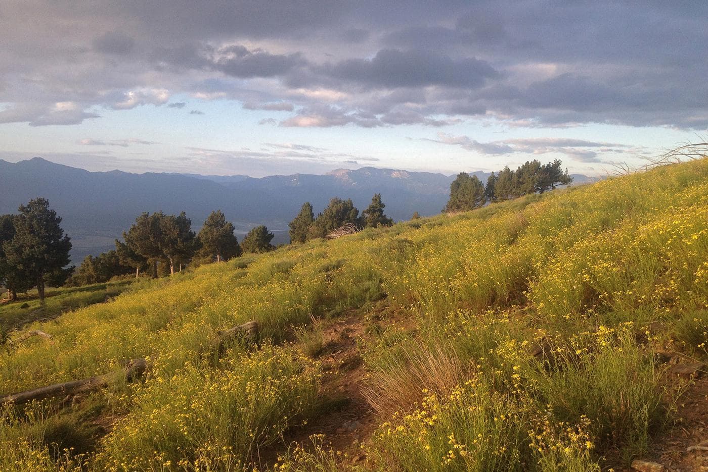 Étape 4 — Puigcerdà - La massana — photo 1