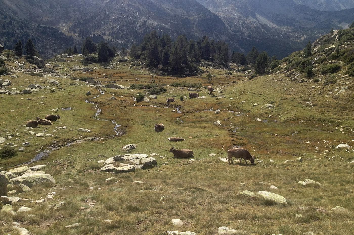 Étape 4 — Puigcerdà - La massana — photo 3