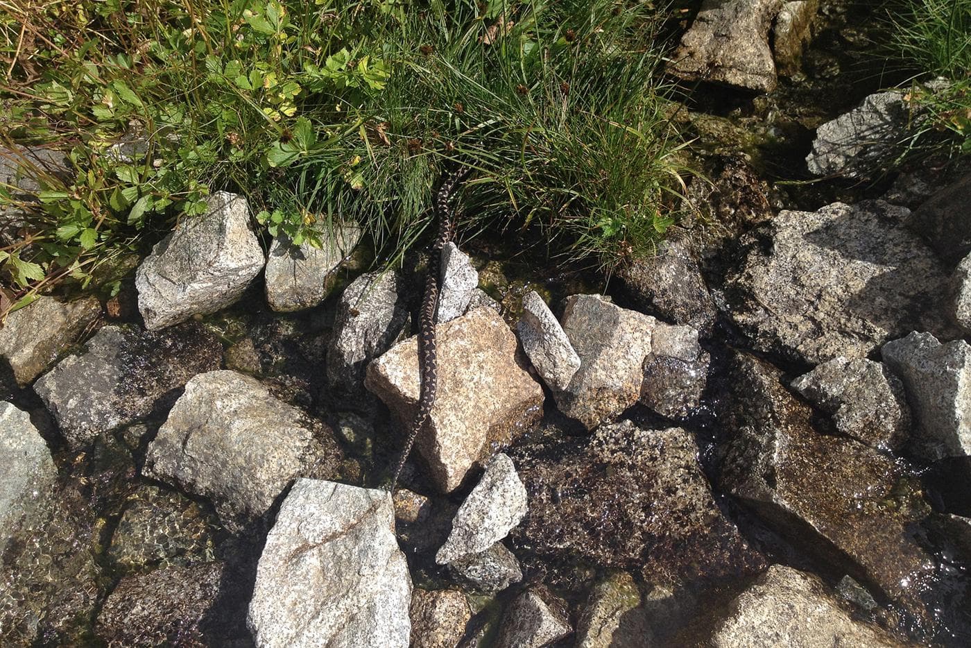 Étape 6 — Estaon - Refugi dera Restanca — photo 3