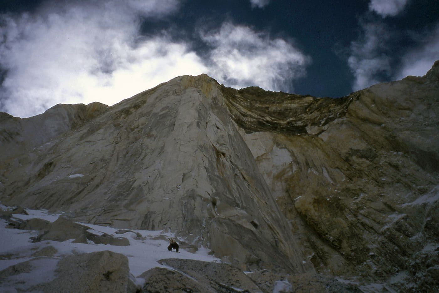 Temps Sauvage Bhagirathi — photo 3