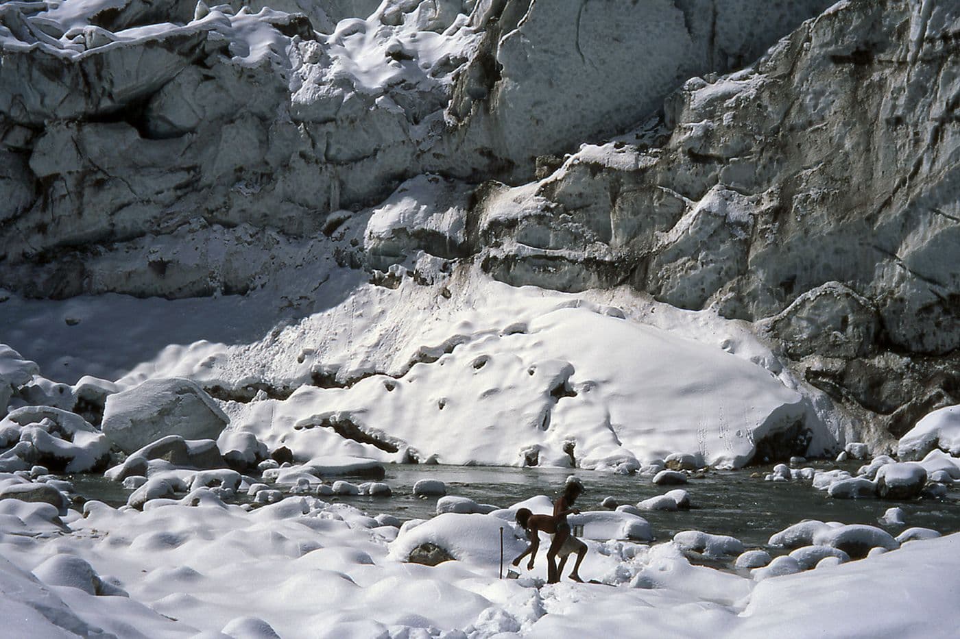 Temps Sauvage Bhagirathi — photo 26
