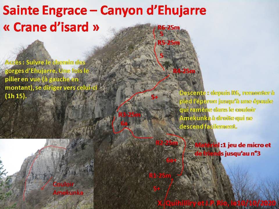 Ehujarre. Crâne d'Isard