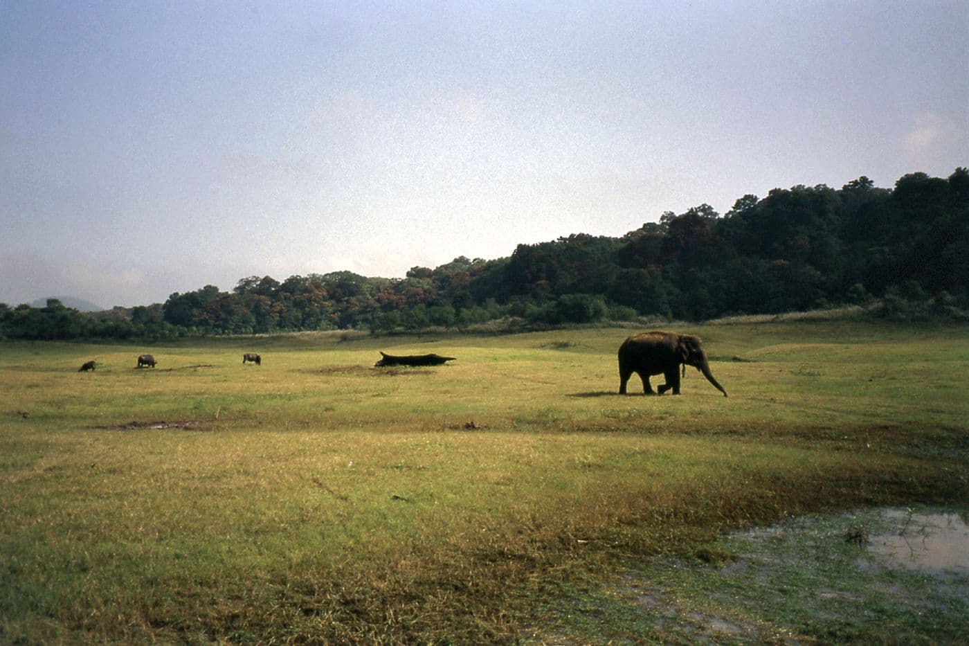Voyage Inde Népal — photo 4