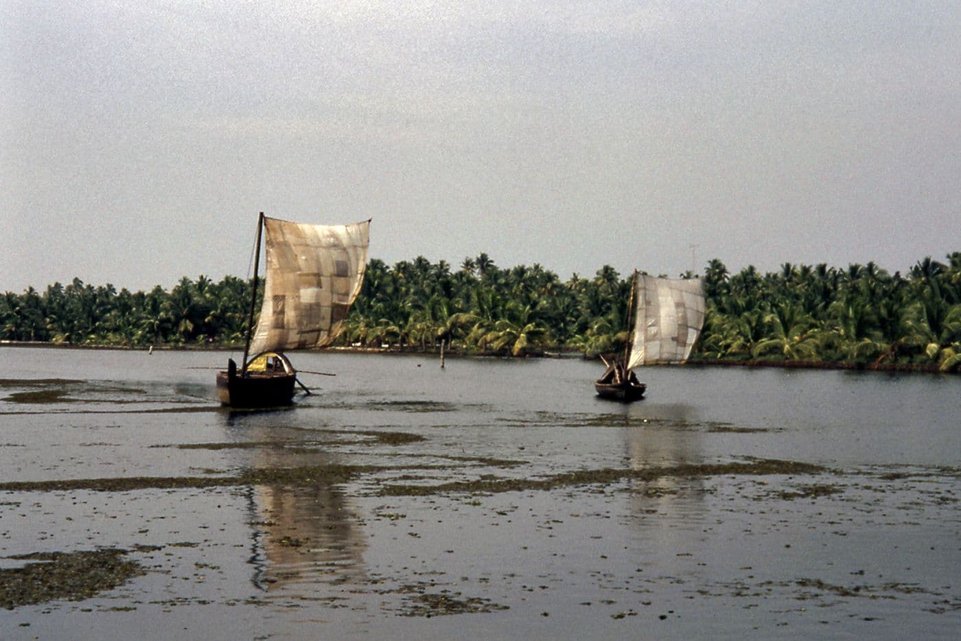 Voyage Inde Népal — photo 12