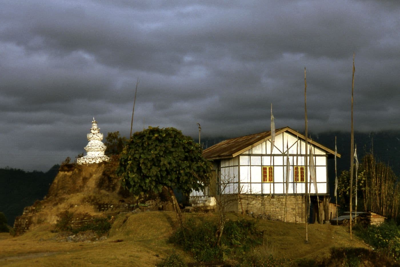 Voyage Inde Népal — photo 20