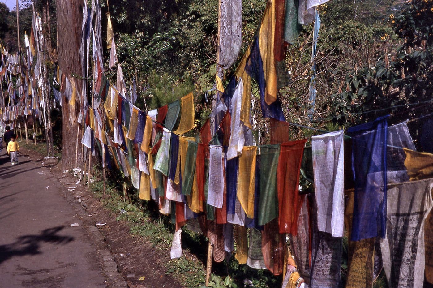 Voyage Inde Népal — photo 21
