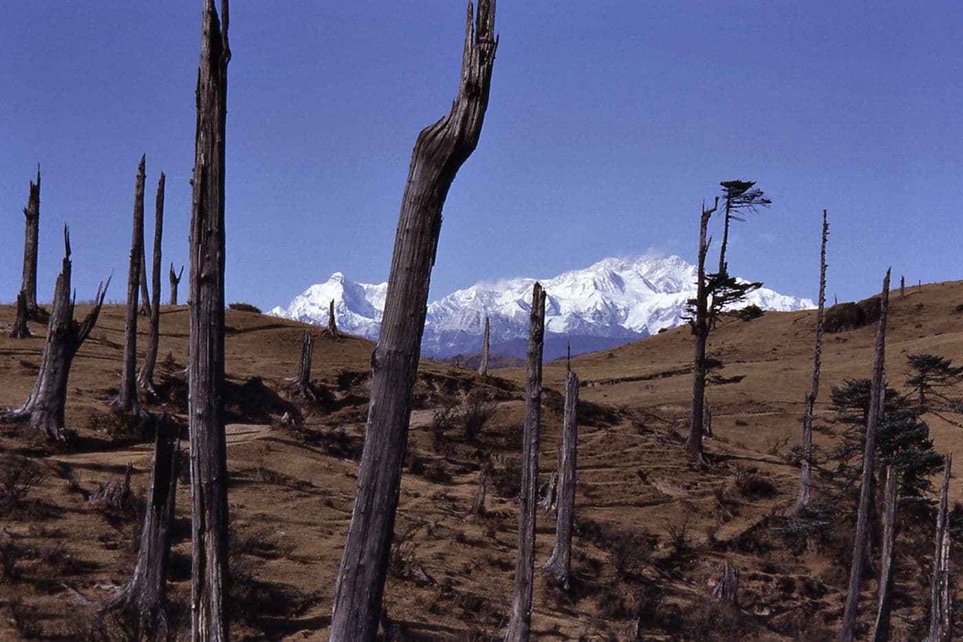 Voyage Inde Népal — photo 23