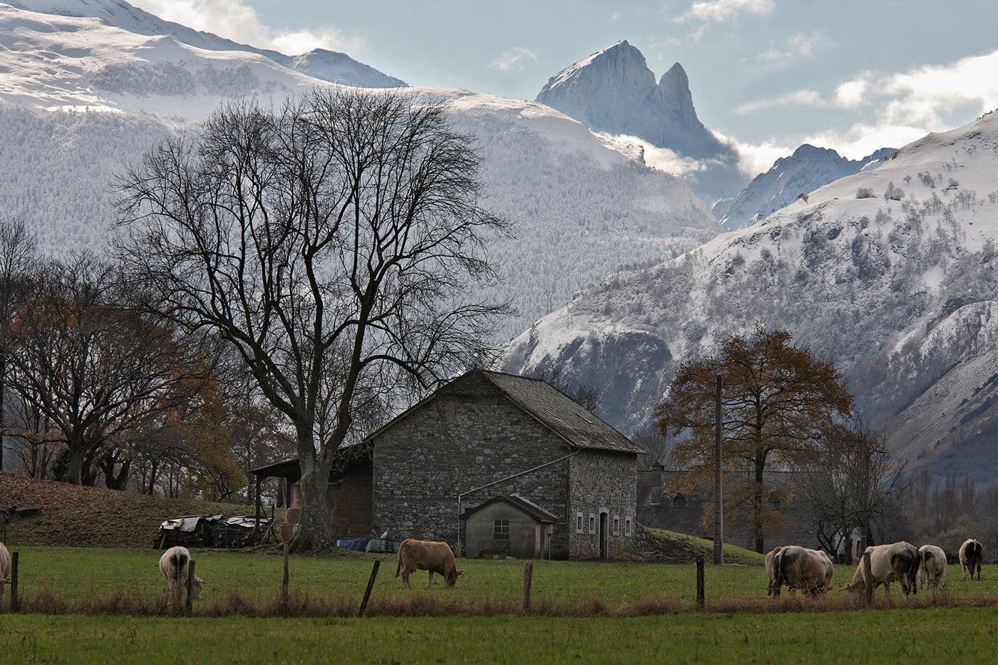 Ossau Hiver