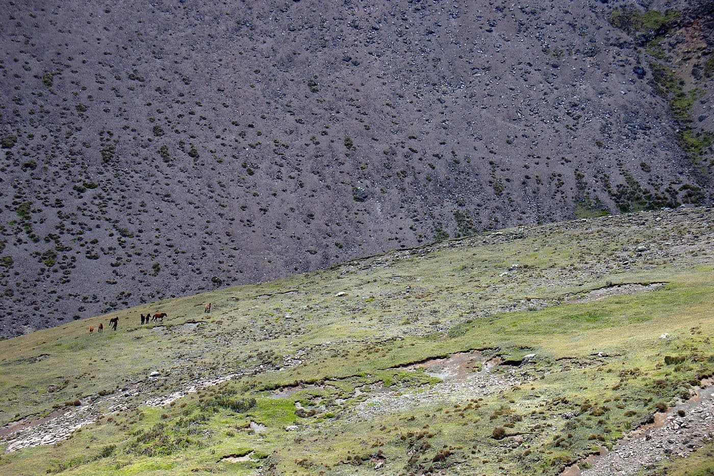 Alpinisme Équateur Cayambe Antisana — photo 6