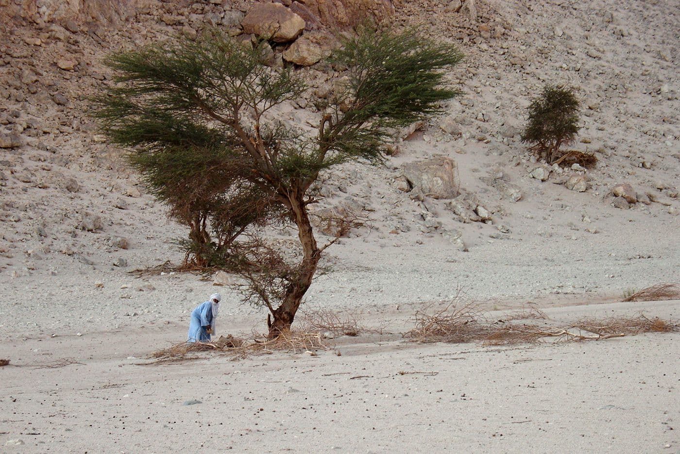 Escalade Hoggar — photo 14