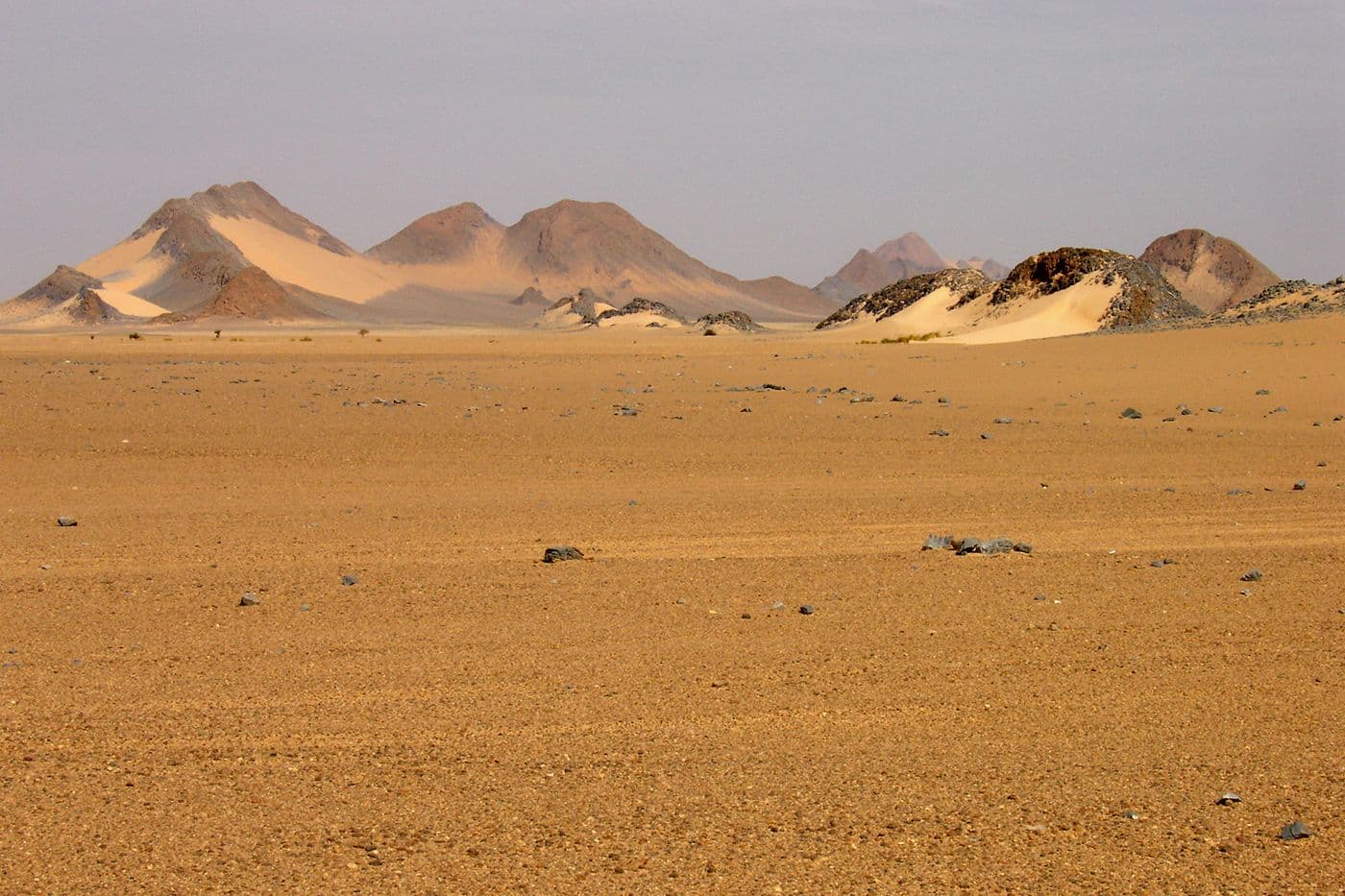 Escalade Hoggar — photo 25