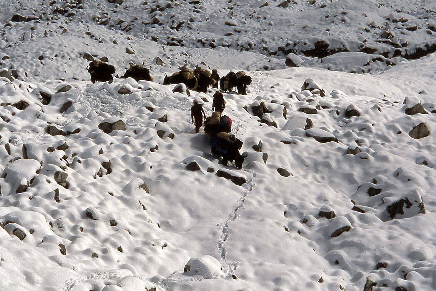 Expédition Pasang Lhamu Népal Himalaya — photo 6