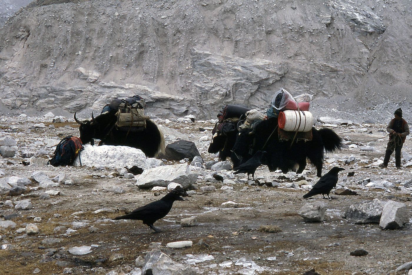 Expédition Pasang Lhamu Népal Himalaya — photo 18