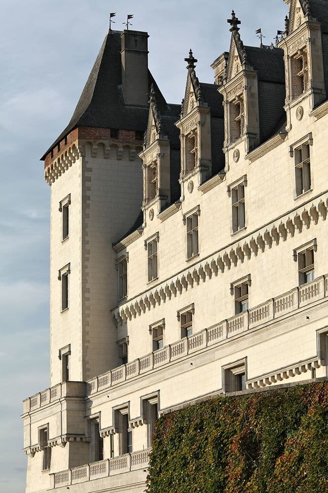Façades Pau Château Pau — photo 4