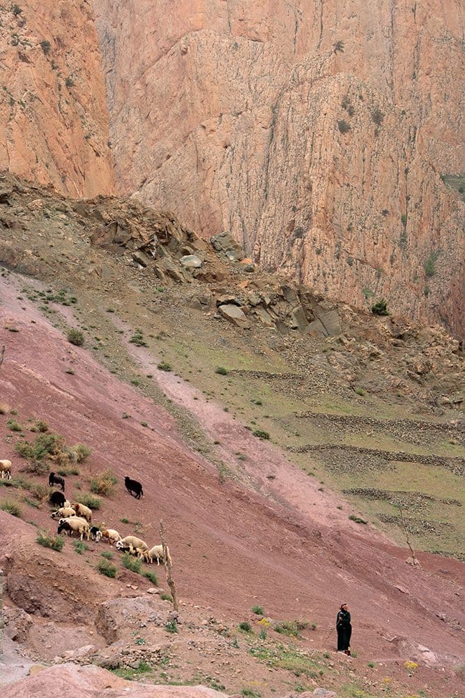 Maroc Taghia Tafraoute — photo 5