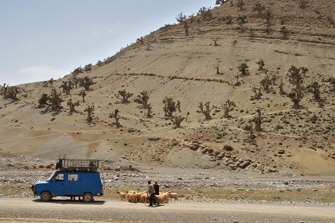 Maroc Taghia Tafraoute — photo 9