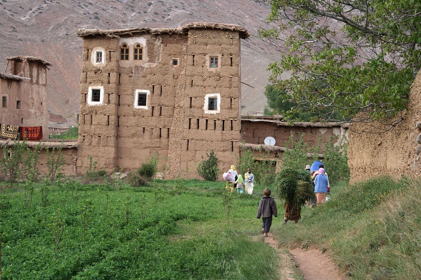 Maroc Taghia Tafraoute — photo 10