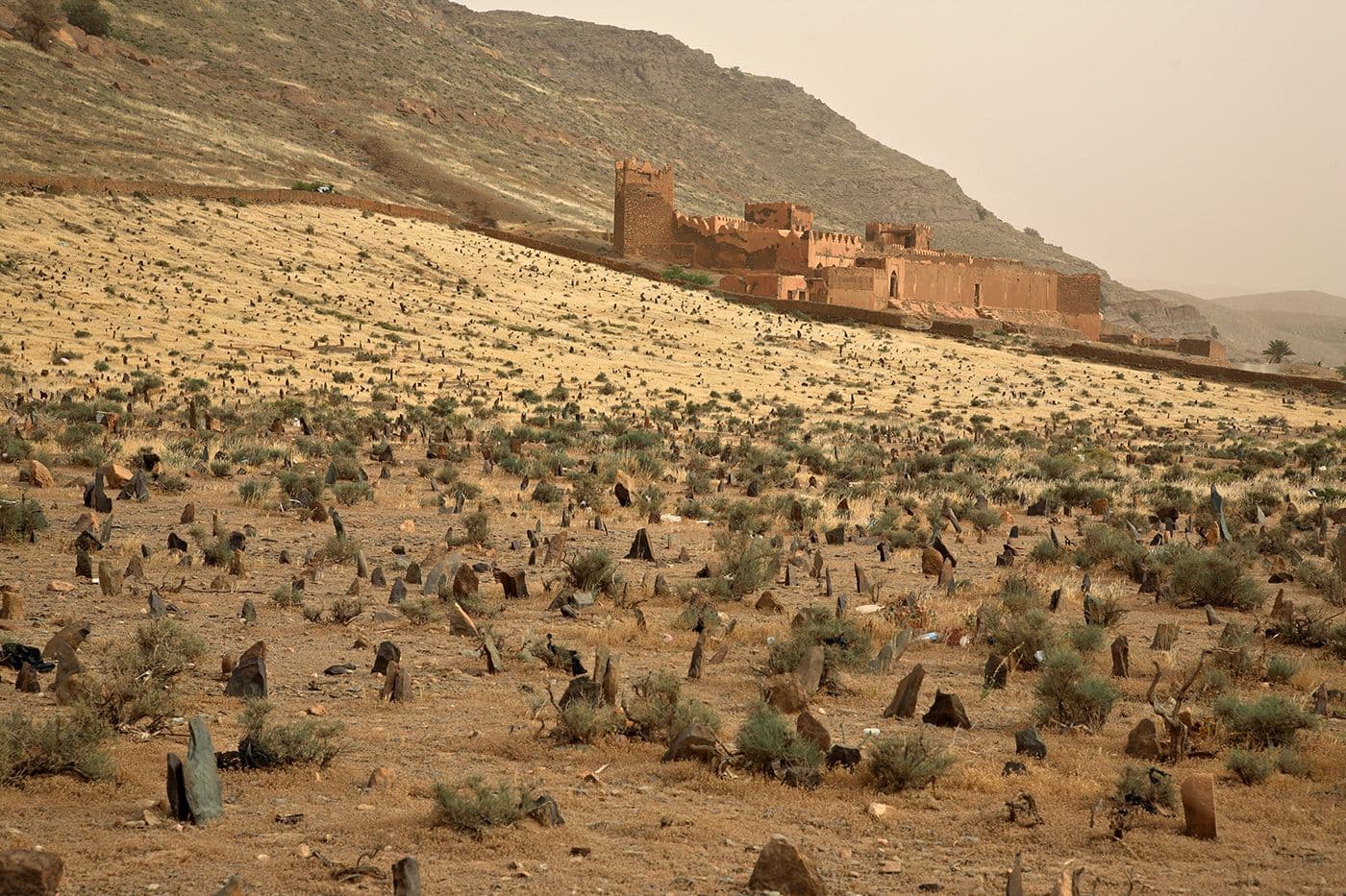 Maroc Taghia Tafraoute — photo 22