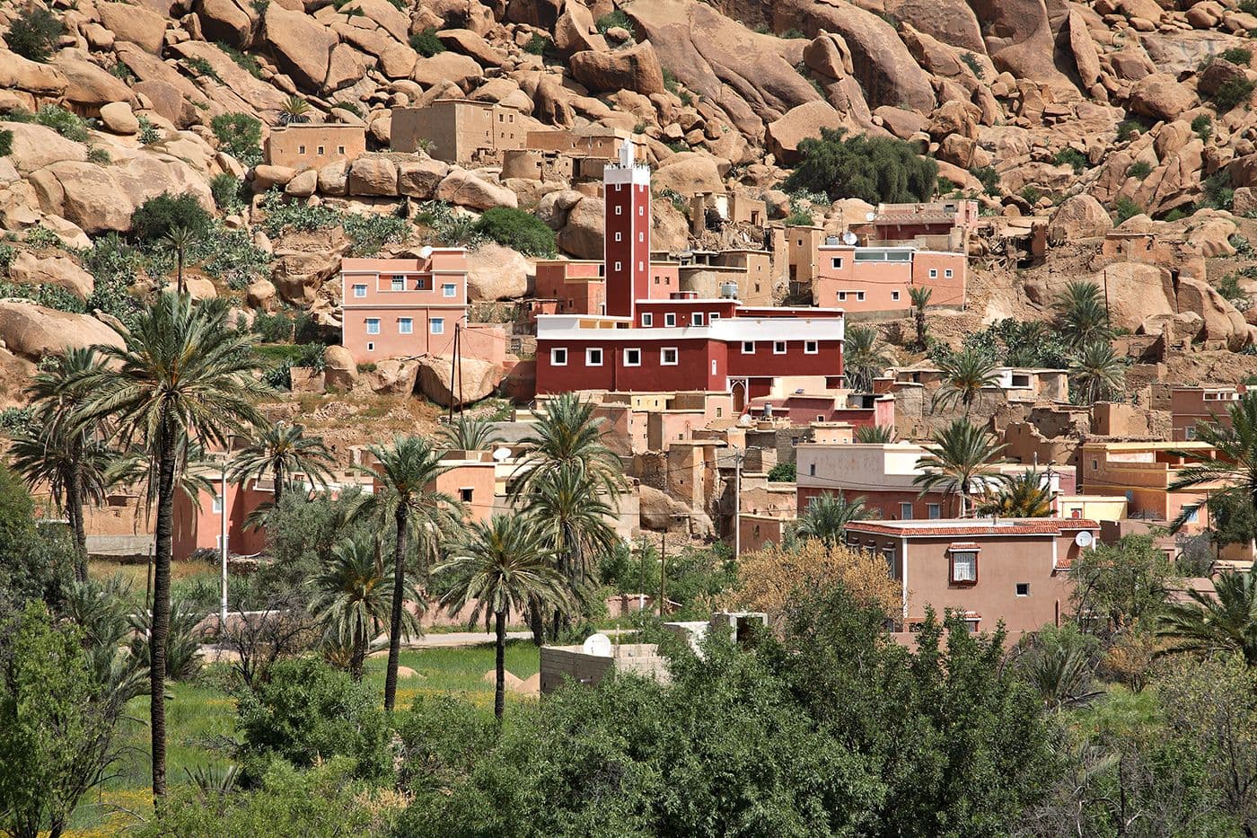 Maroc Taghia Tafraoute — photo 23