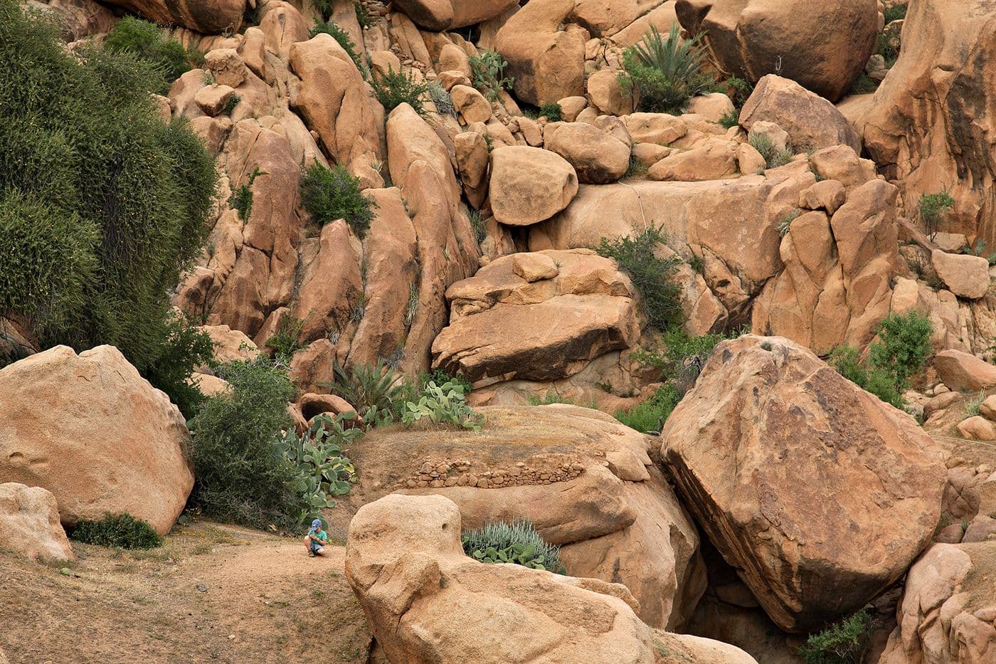Maroc Taghia Tafraoute — photo 24