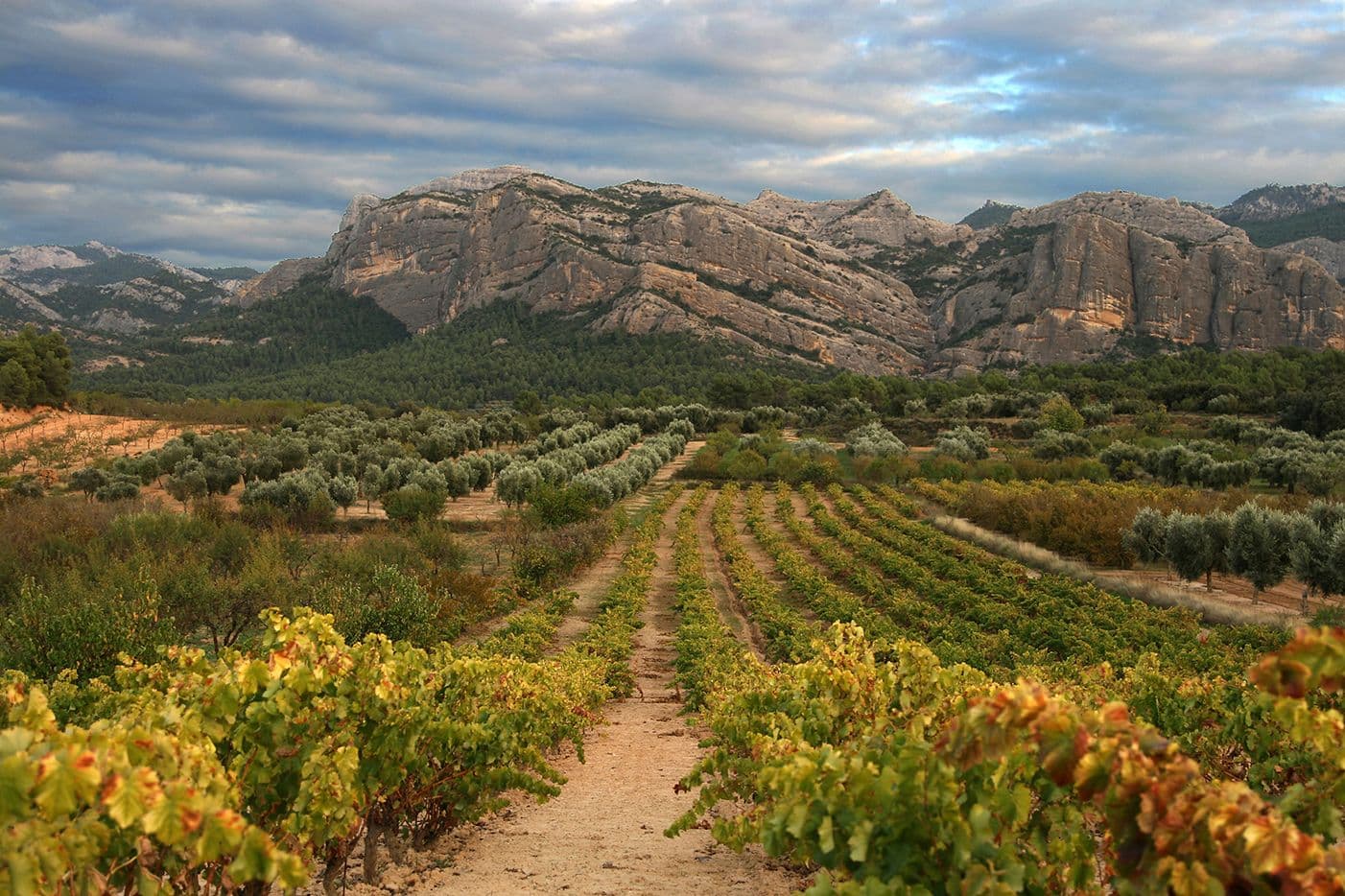 Paysages Espagne — photo 2