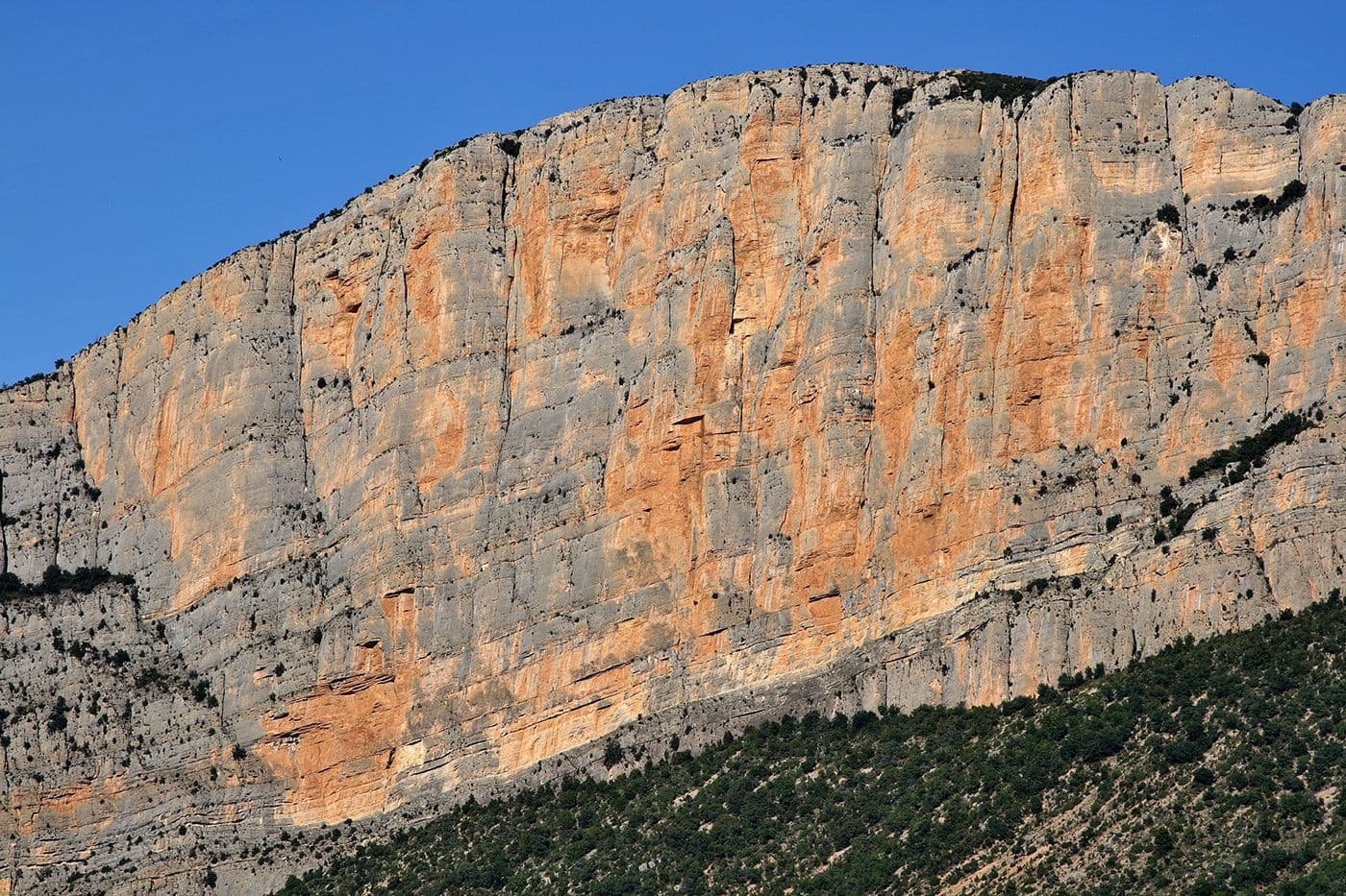 Paysages Montrebey — photo 14