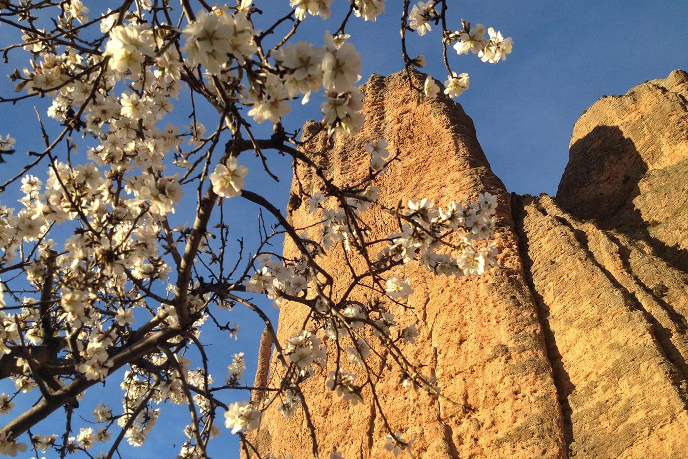 Paysages de Riglos — photo 7
