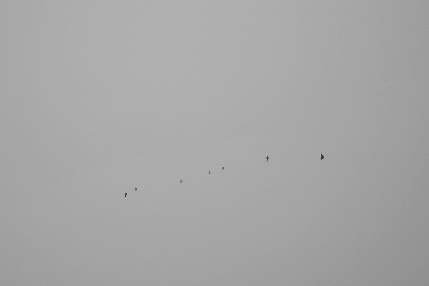 Raid Ski Rando Ortles — photo 4