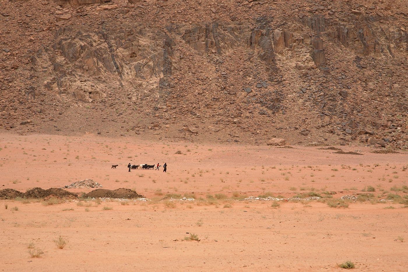 Escalade Wadi Rum Jordanie — photo 51