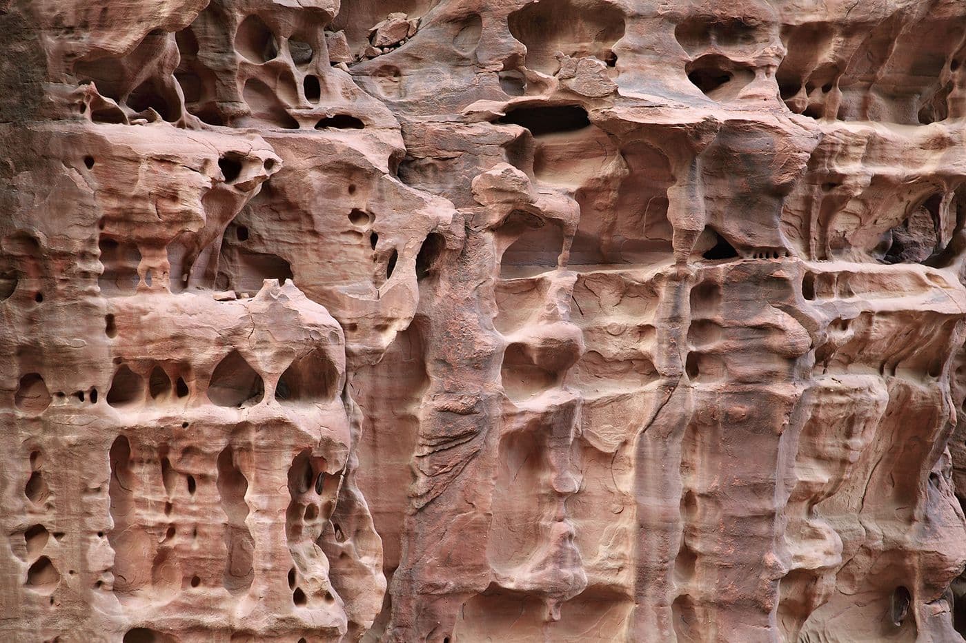 Escalade Wadi Rum Jordanie — photo 58