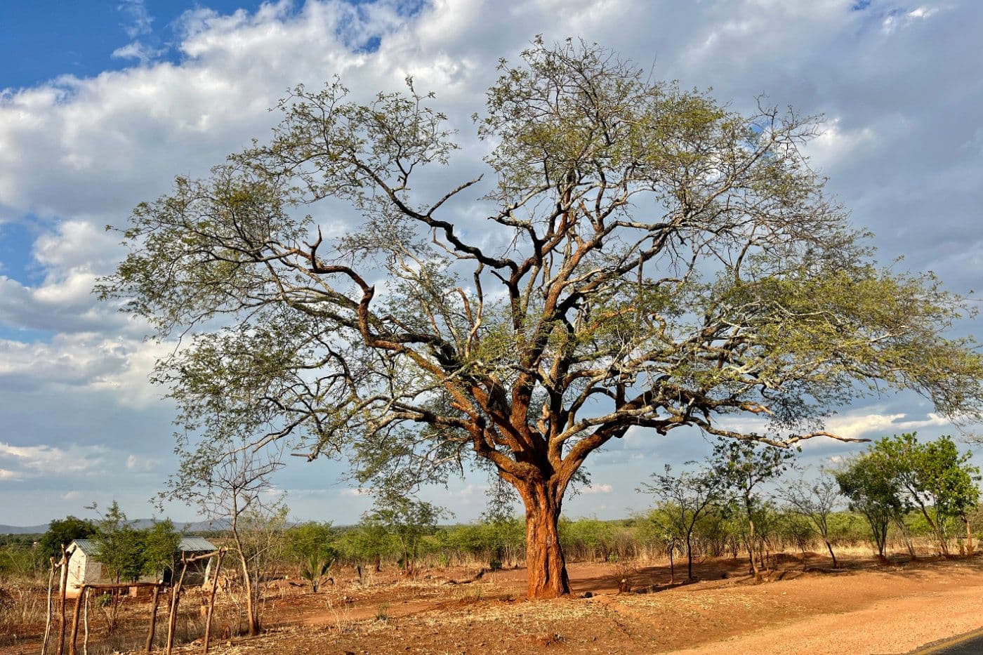 Voyage Vélo Afrique — photo 9
