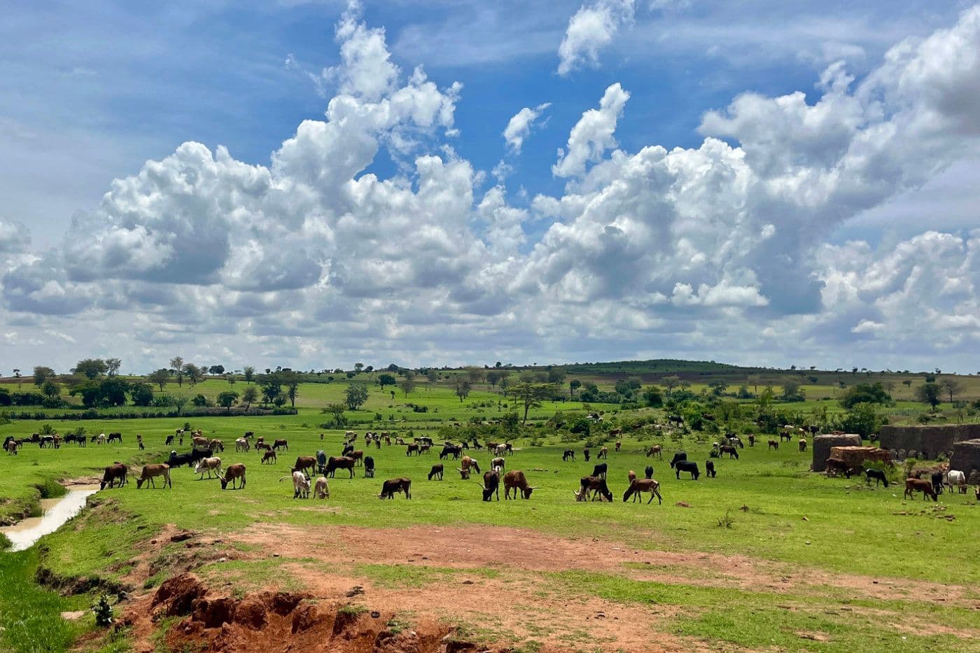 Voyage Vélo Afrique — photo 26