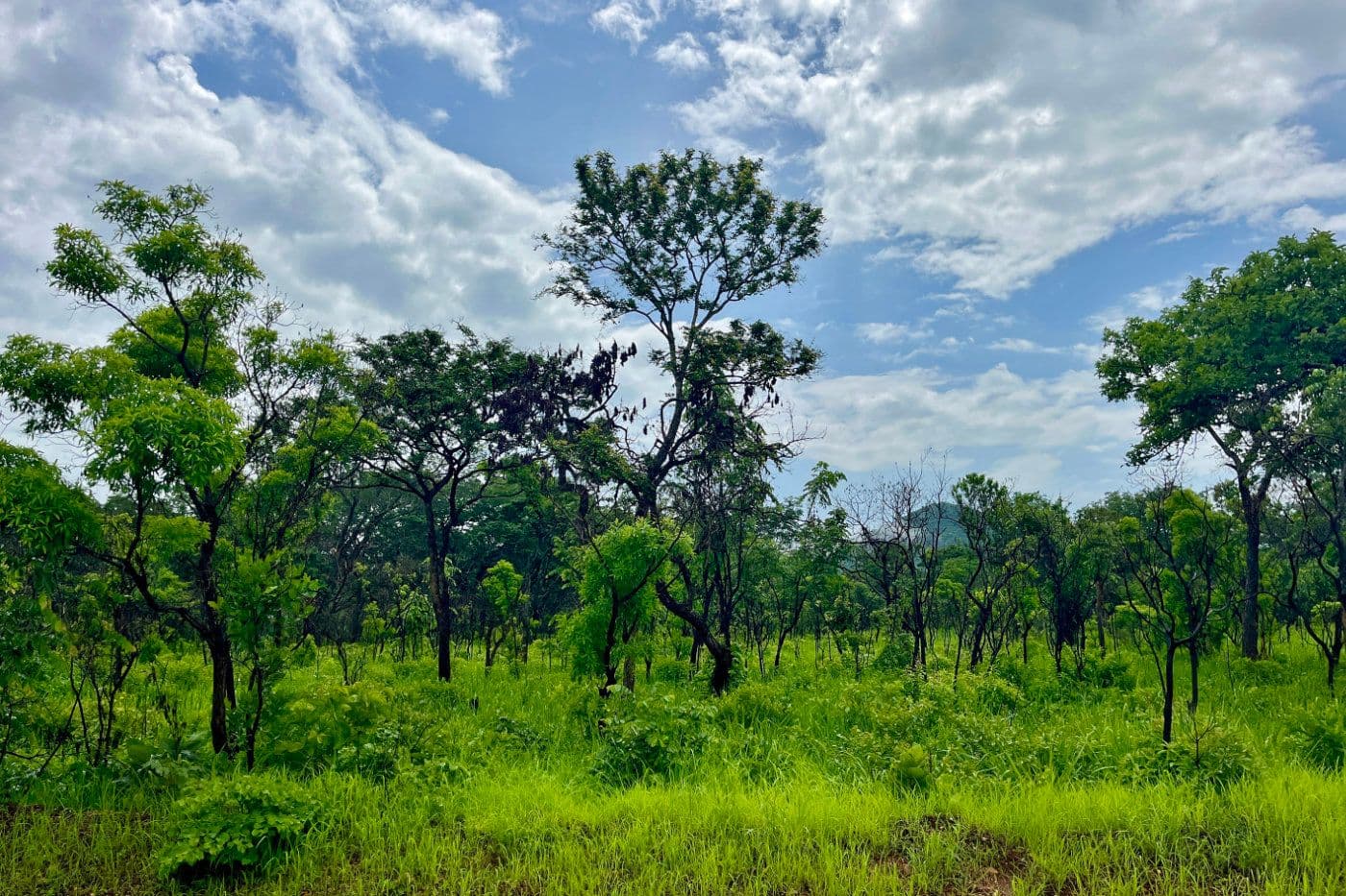 Voyage Vélo Afrique — photo 29