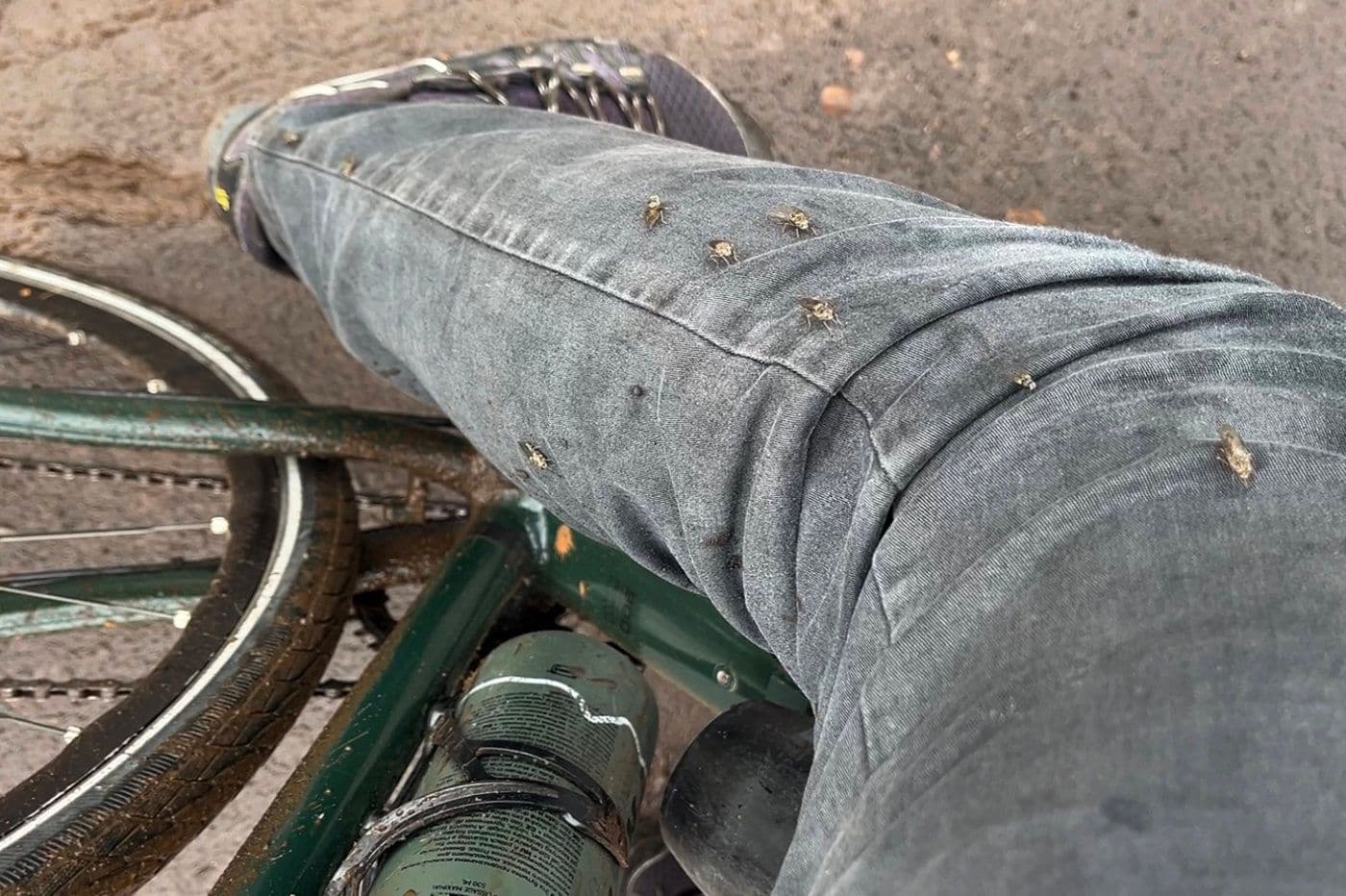 Voyage Vélo Afrique — photo 30