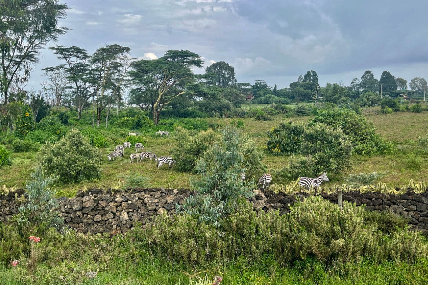 Voyage Vélo Afrique — photo 49