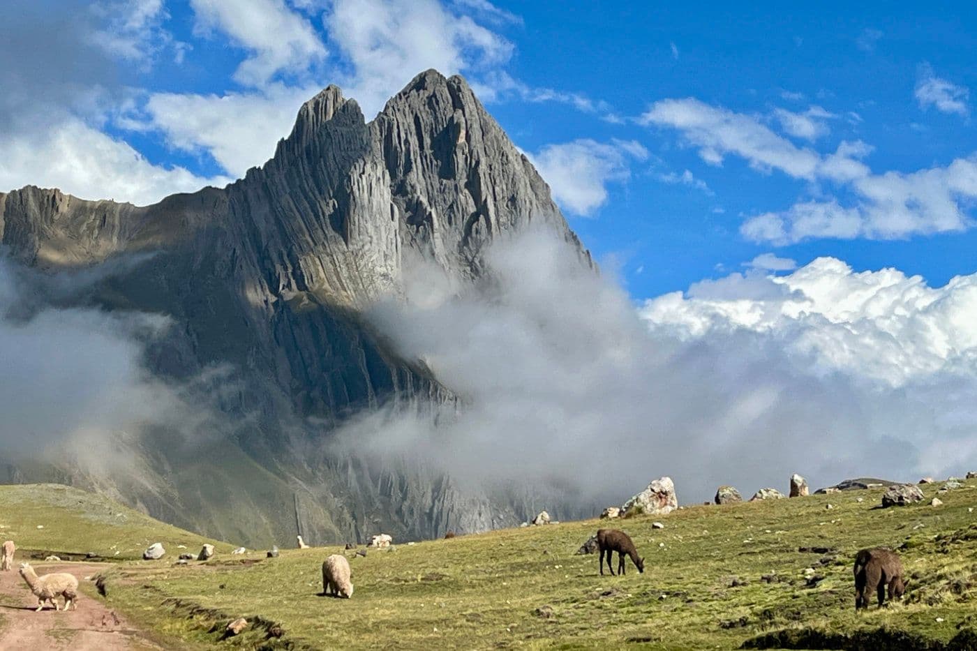 Voyage Vélo Cordillère Pérou — photo 15
