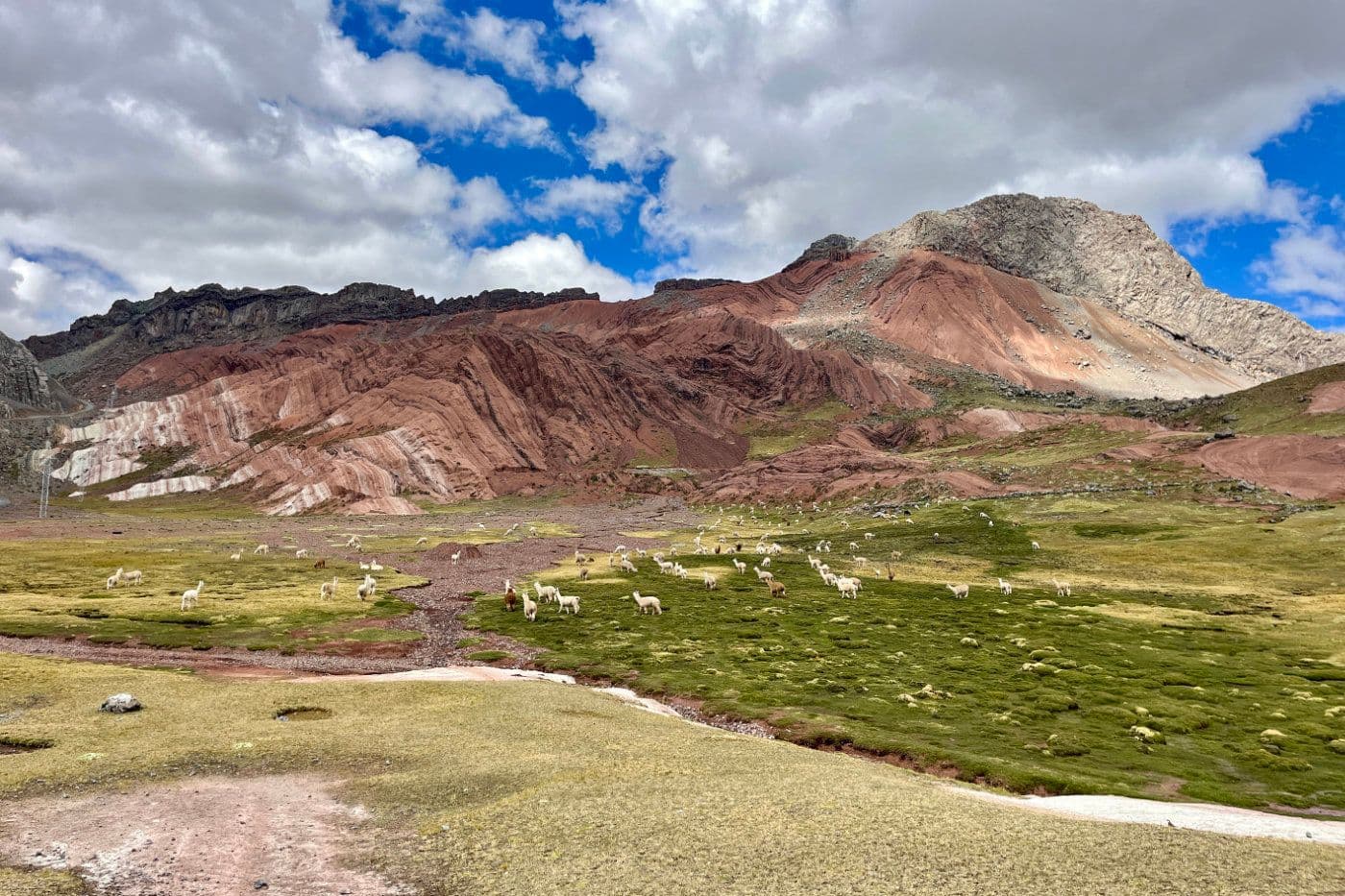Voyage Vélo Cordillère Pérou — photo 24